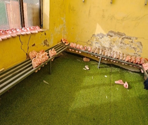 image6.jpeg image6.jpeg